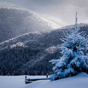 Winter-scenery-in-Bran-Area